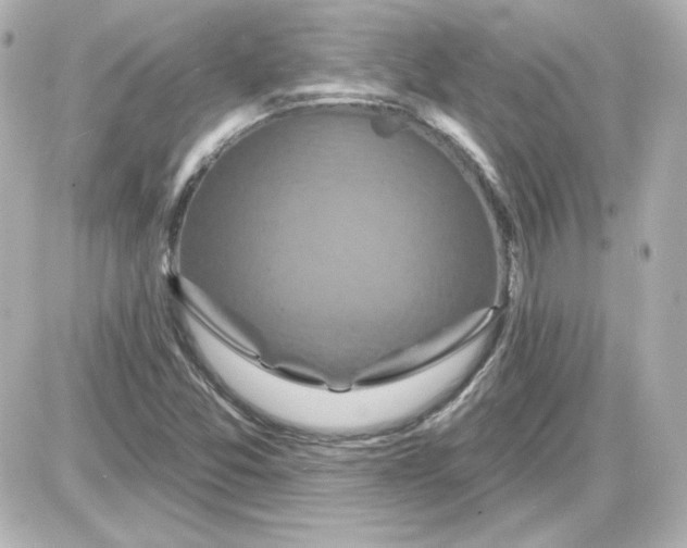 X0000087531357200705112021