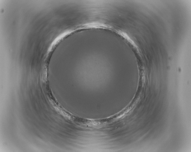 X0000087531358200705112021