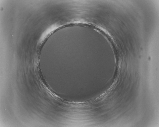 X0000087531359200705112021