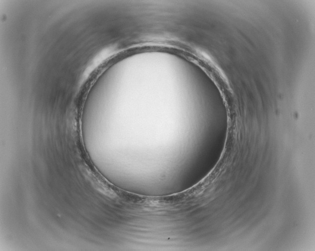 X0000087531360200705112021