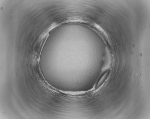 X0000087531361200705112021