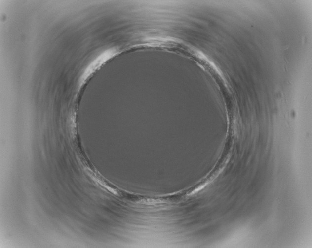 X0000087531362200705112021