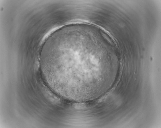 X0000087531363200705112021