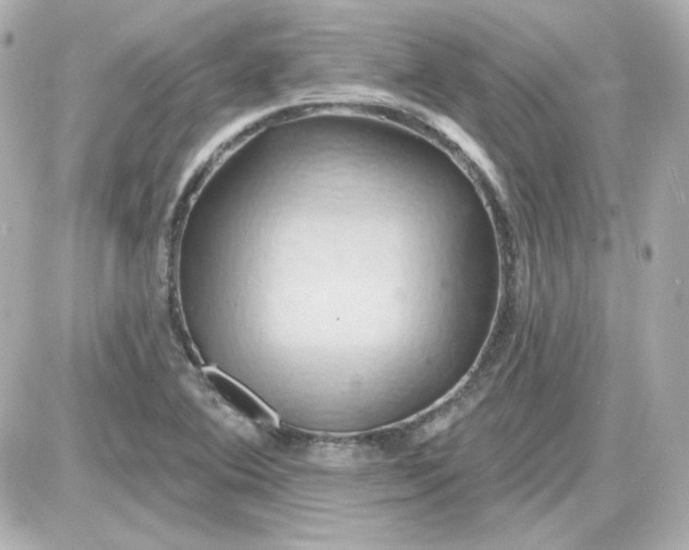 X0000087531364200705112021