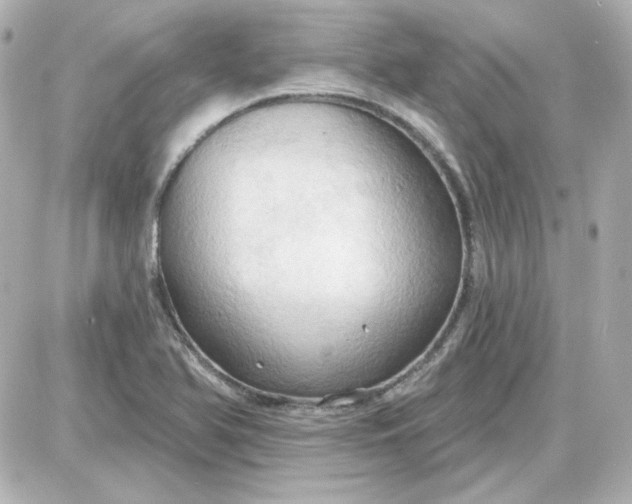 X0000087531366200705112021