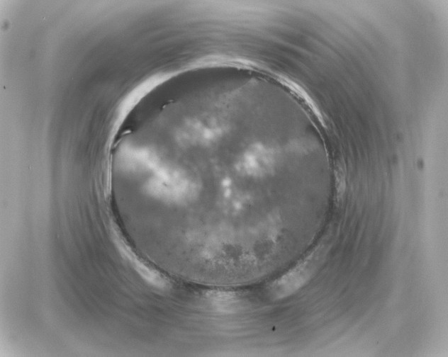 X0000087531371200705112020