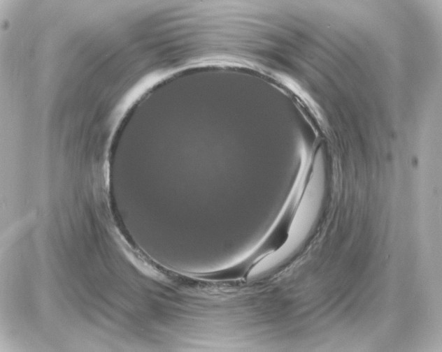 X0000087531372200705112020