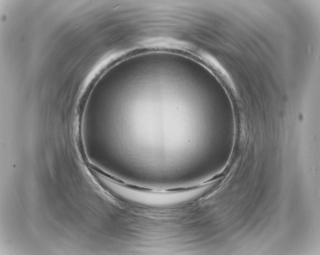 X0000087531376200705112020