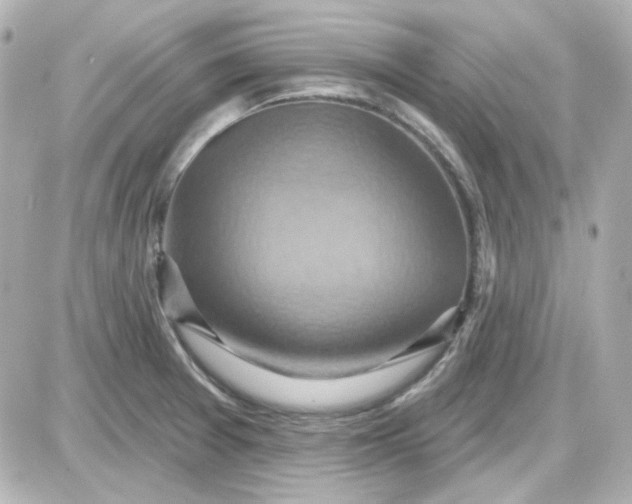 X0000087531377200705112020