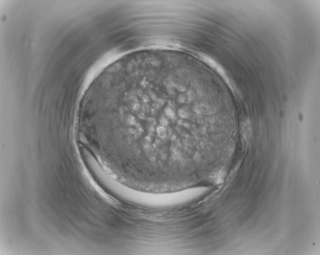 X0000087531379200705112020