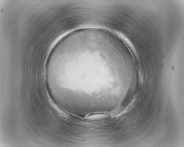 X0000087531380200705112020