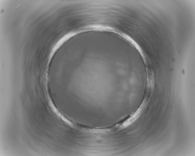 X0000087531381200705112020