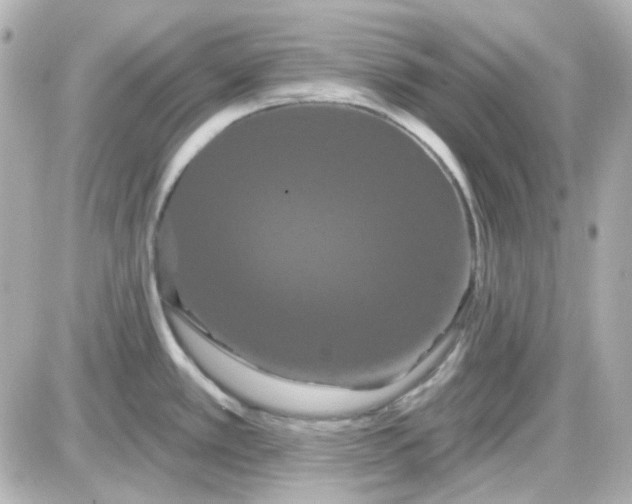 X0000087531389200705112020