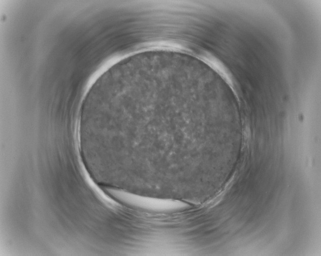 X0000087531391200705112020