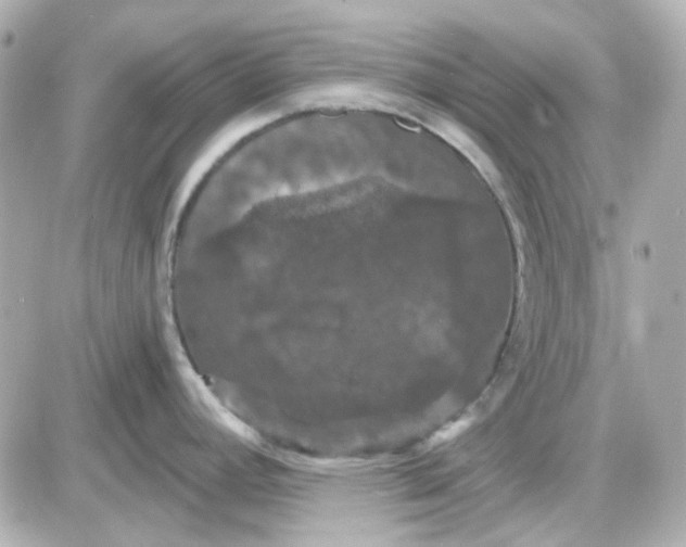 X0000087531392200705112020