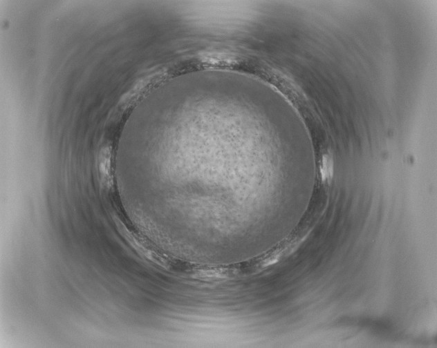X0000087531396200705112019