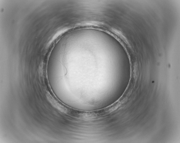 X0000087531404200705112020