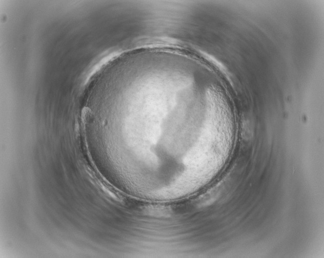 X0000087531407200705112020