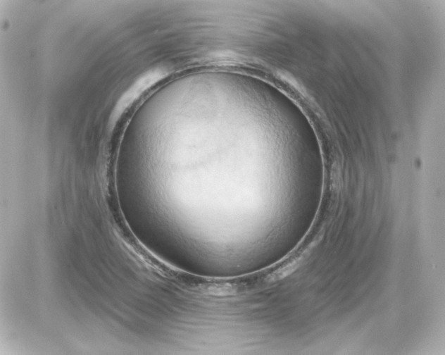 X0000087531410200705112020