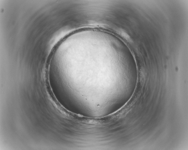 X0000087531412200705112020