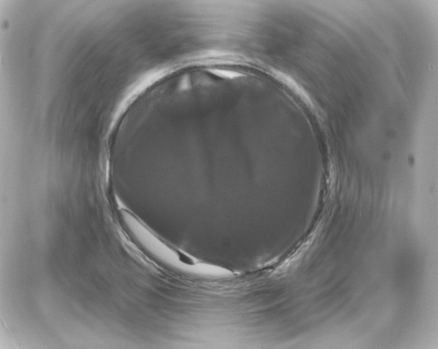 X0000087531413200705112020