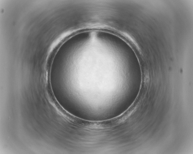 X0000087531414200705112020