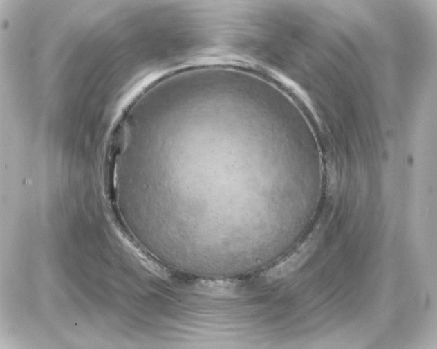 X0000087531415200705112020