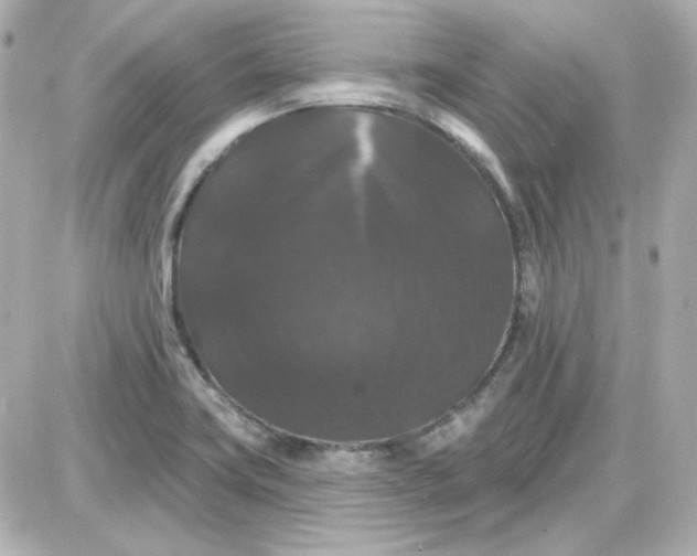 X0000087531419200705112020