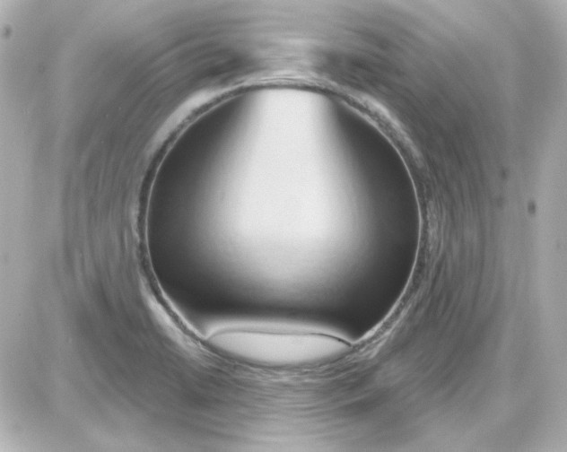 X0000087531422200705112020