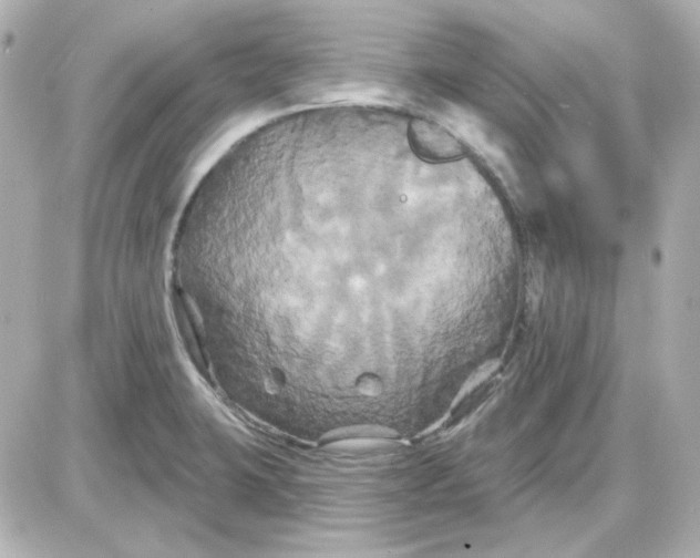 X0000087531423200705112020