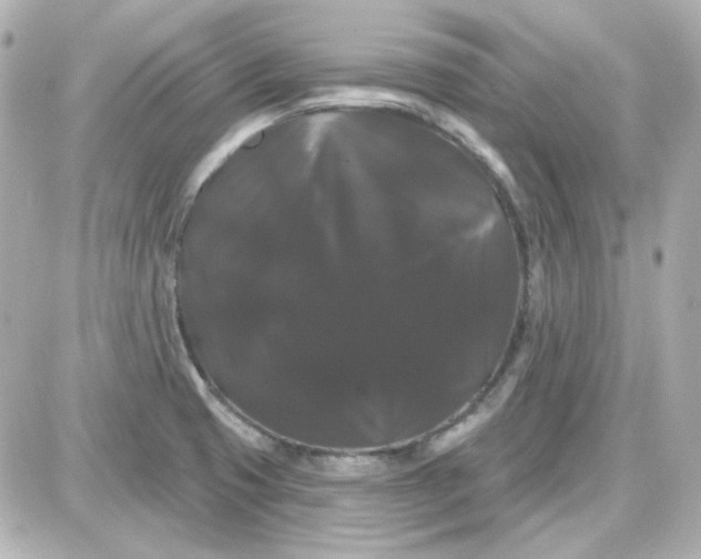 X0000087531425200705112020