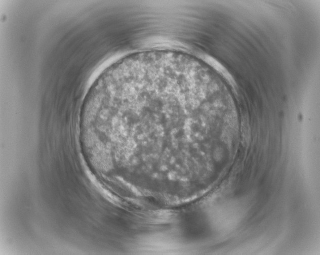 X0000087531431200705112020