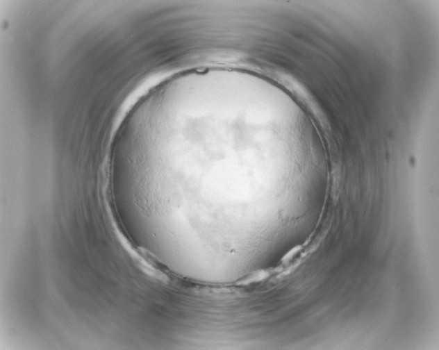 X0000087531432200705112020