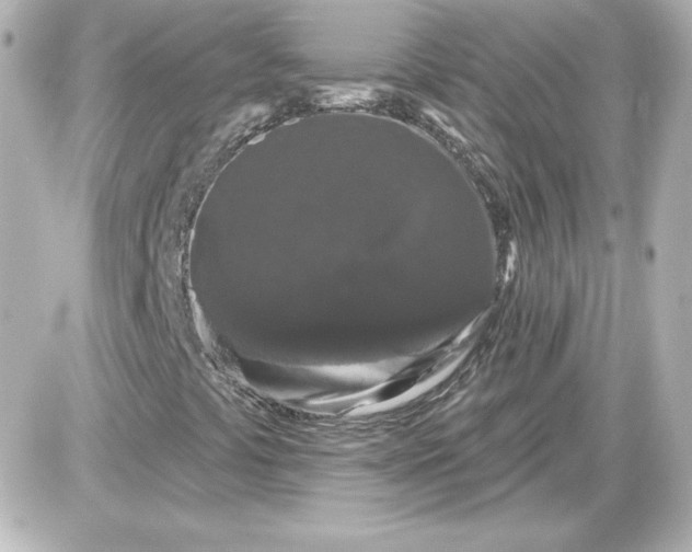 X0000087531441200705112019