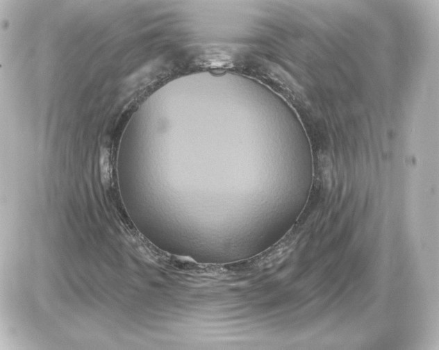 X0000087531442200705112019