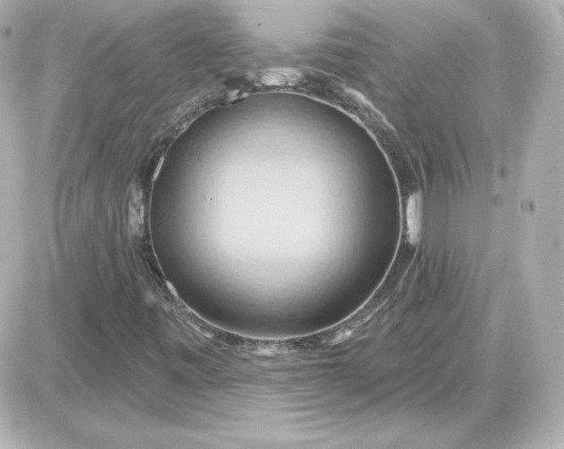 X0000087531443200705112019