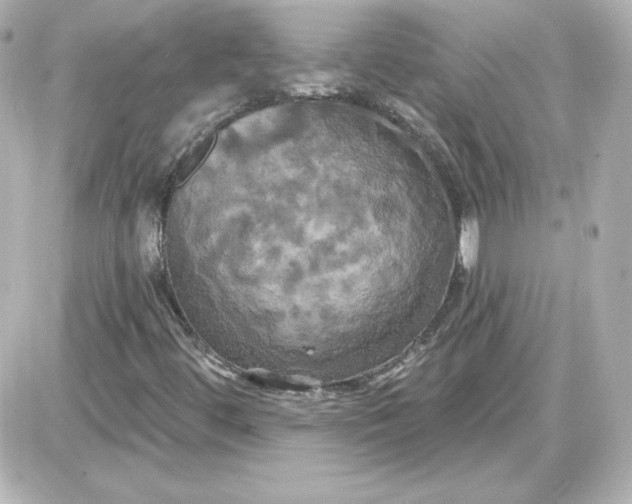 X0000087531444200705112019