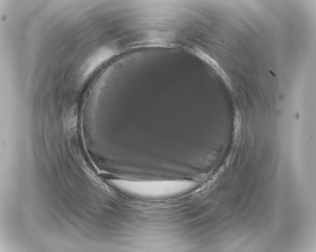 X0000087531450200705112019