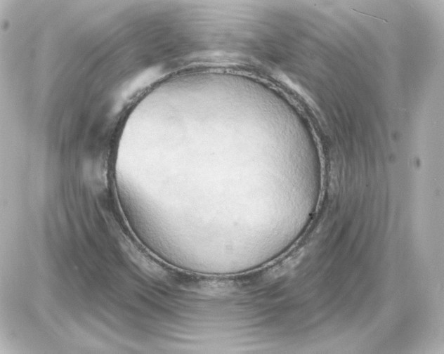 X0000087531451200705112019