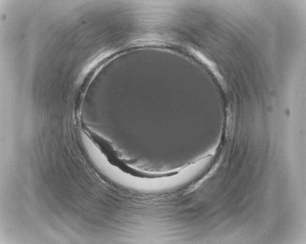 X0000087531453200705112019
