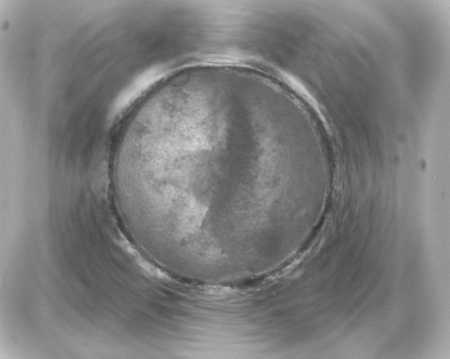 X0000087531456200705112019
