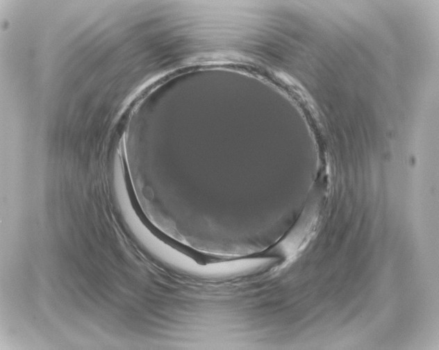 X0000087531457200705112019