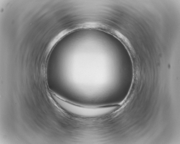 X0000087531473200705112019
