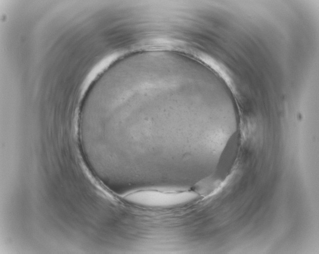 X0000087531477200705112019