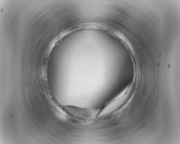 X0000087531481200705112019