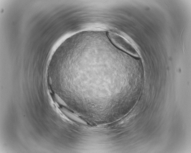 X0000087531488200705112019