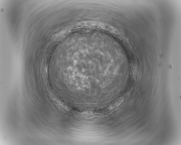 X0000087531489200705112018