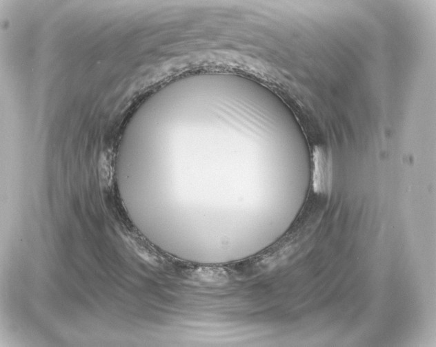 X0000087531491200705112018