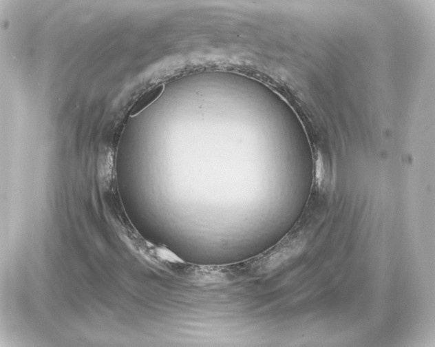 X0000087531492200705112018