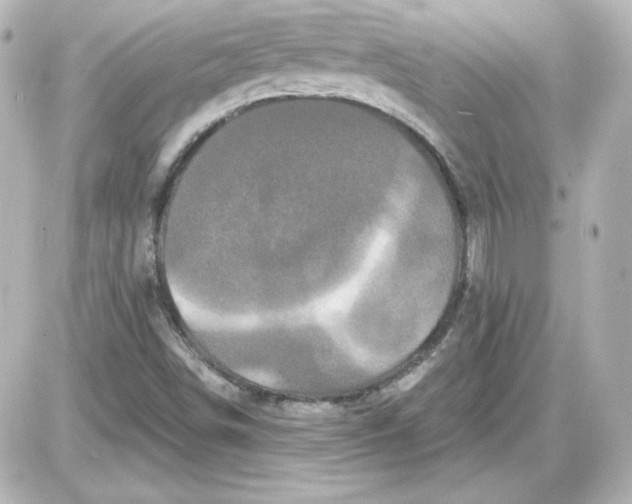 X0000087531498200705112018
